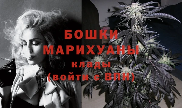 PSILOCYBIN Балахна