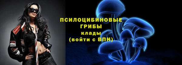 mdpv Беломорск