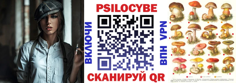 Псилоцибиновые грибы MAGIC MUSHROOMS  где купить наркоту  Пятигорск 